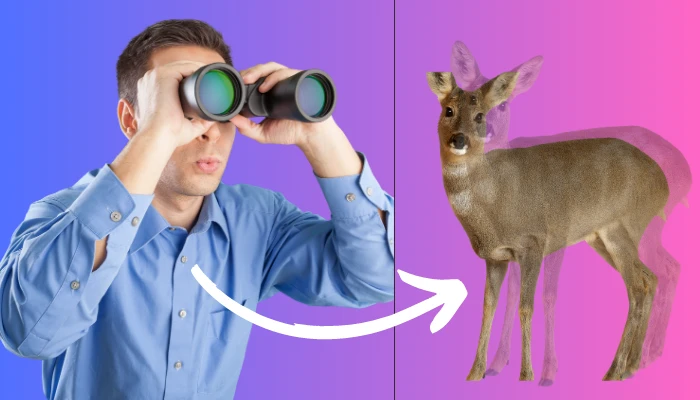 How to Fix Binoculars With Double Vision