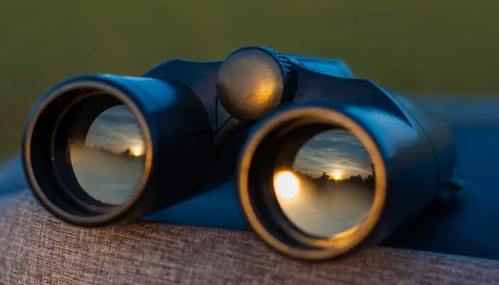 Are HD Binoculars Worth the Money