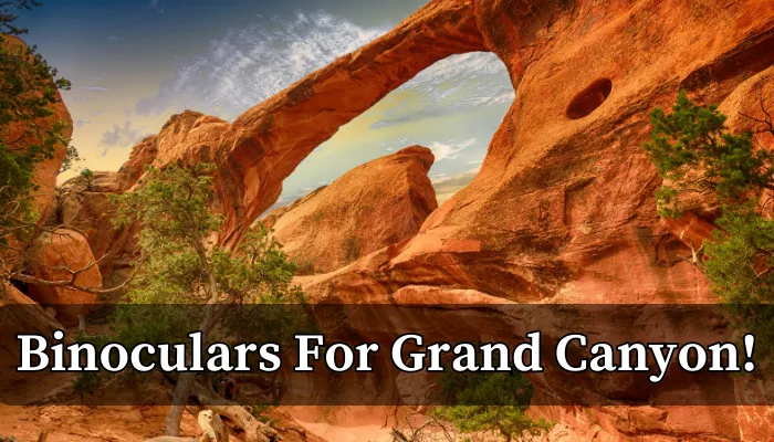 Best binoculars for grand canyon