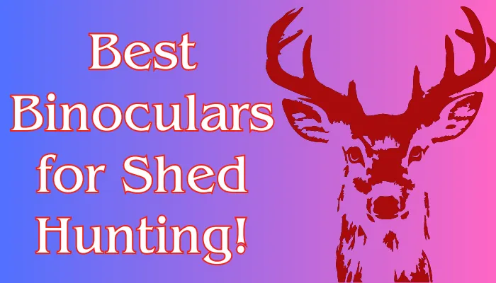 Best binoculars for shed hunting