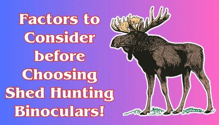 Factors to Consider before Choosing Shed Hunting Binoculars