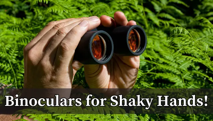 Best binoculars for shaky hands