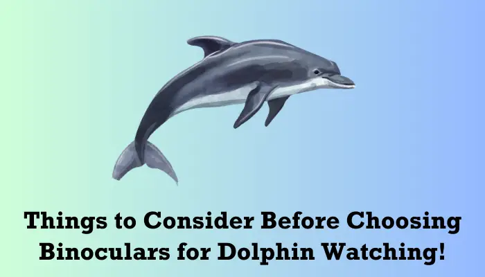 Factors to Consider before Choosing Binoculars for Dolphin Watching