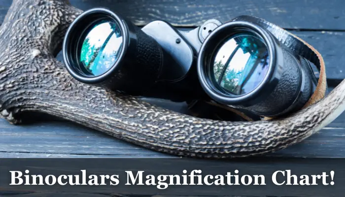 Binoculars Magnification Chart