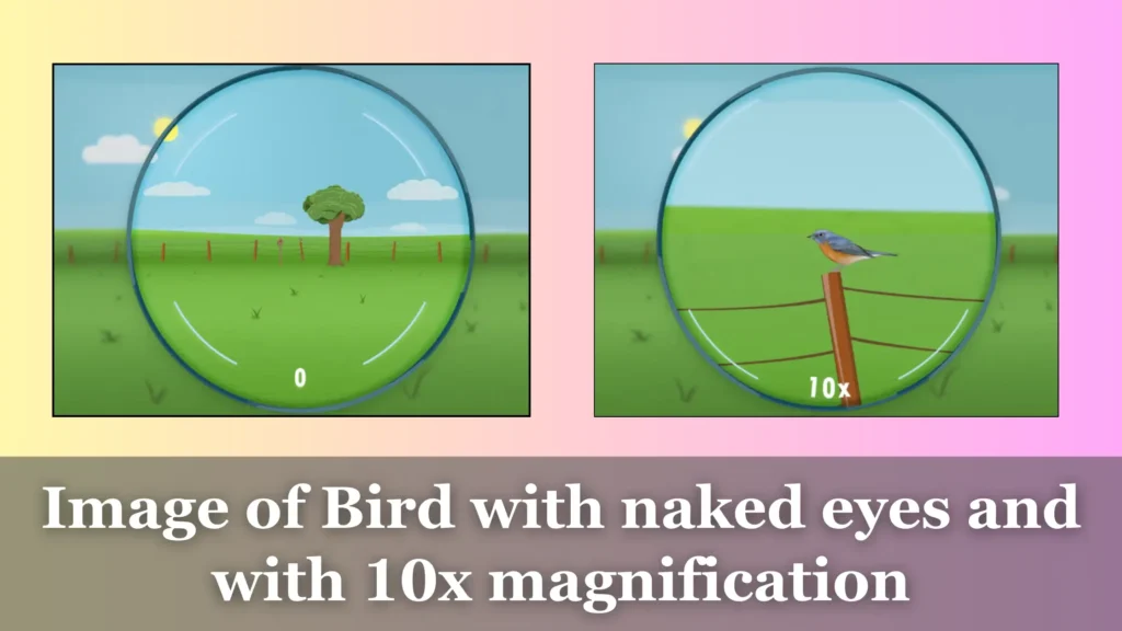 Comparison of image with naked eye and with 10x magnification comparison for understand the 10x magnification