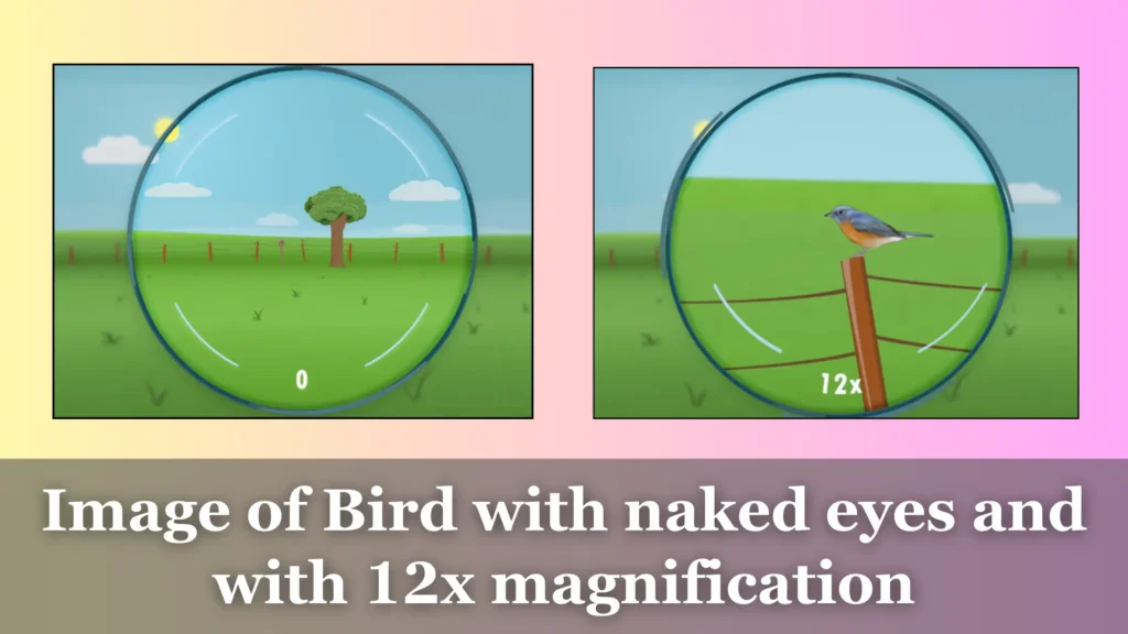 Comparison of image with naked eye and with 12x magnification comparison for understand the 12x magnification