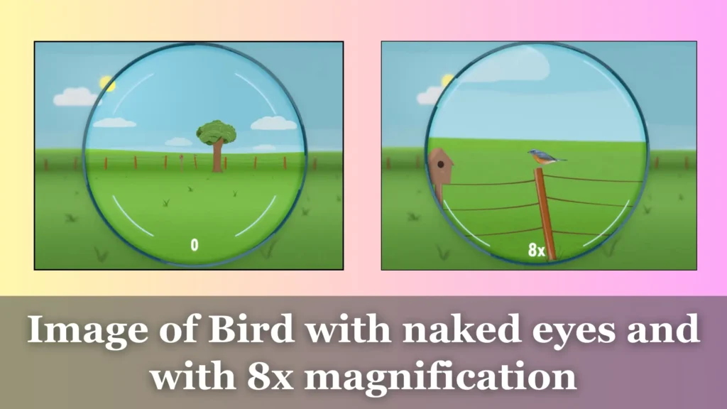 Comparison of image with naked eye and with 8x magnification comparison for understand the 8x magnification