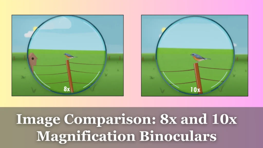 Image that gives comparison of 8x and 10x magnification - Easy to understand